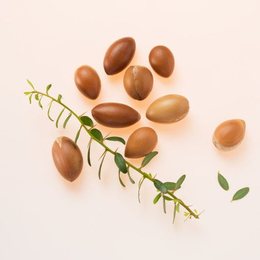 Argan Oil for Hair Growth: How does it work?
