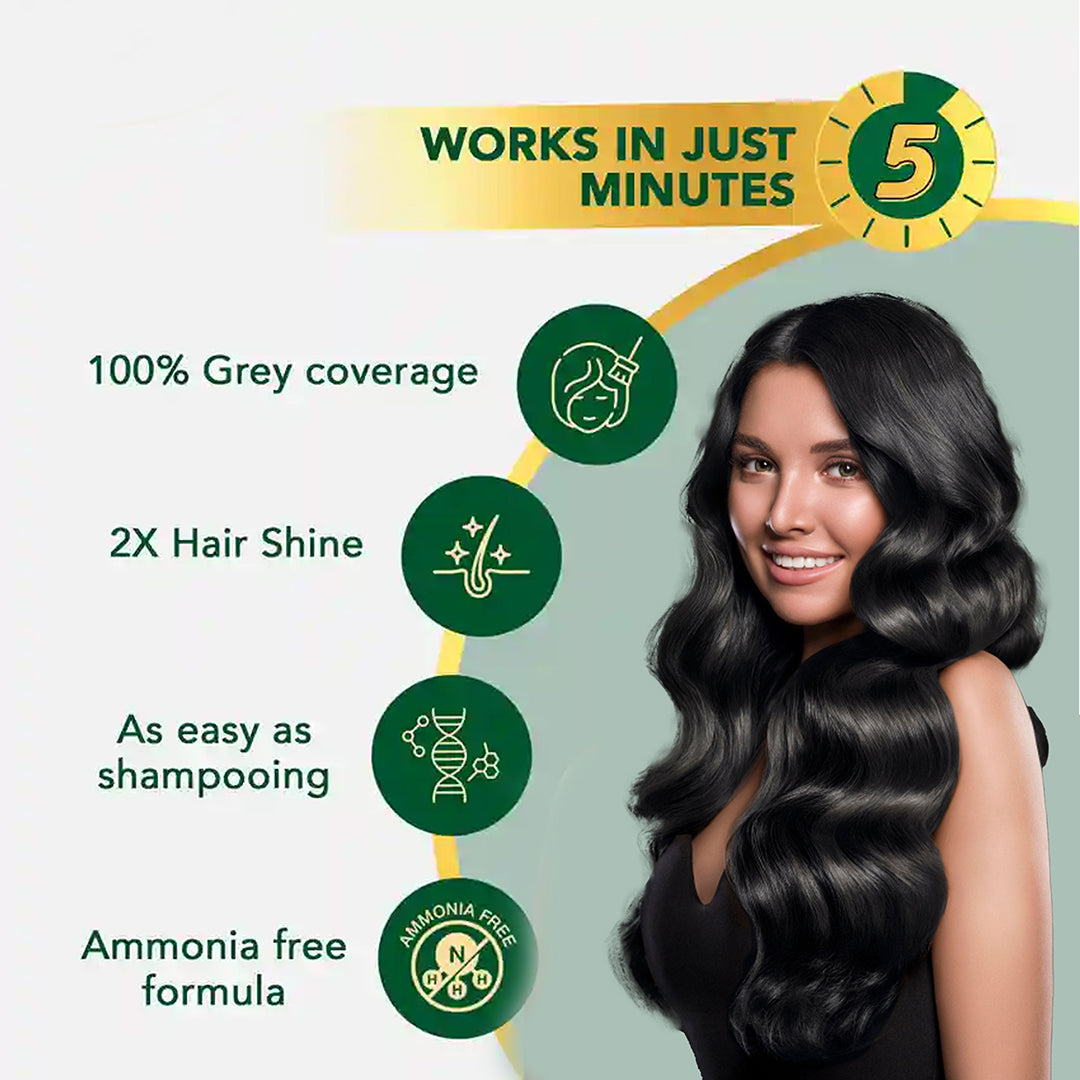 Spring H2O Salon Expert Hair Color Shampoo Natural Black- Pack of 12 (15ml Each)