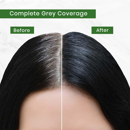 Spring H2O Salon Expert Hair Color Shampoo Natural Black- Pack of 12 (15ml Each)