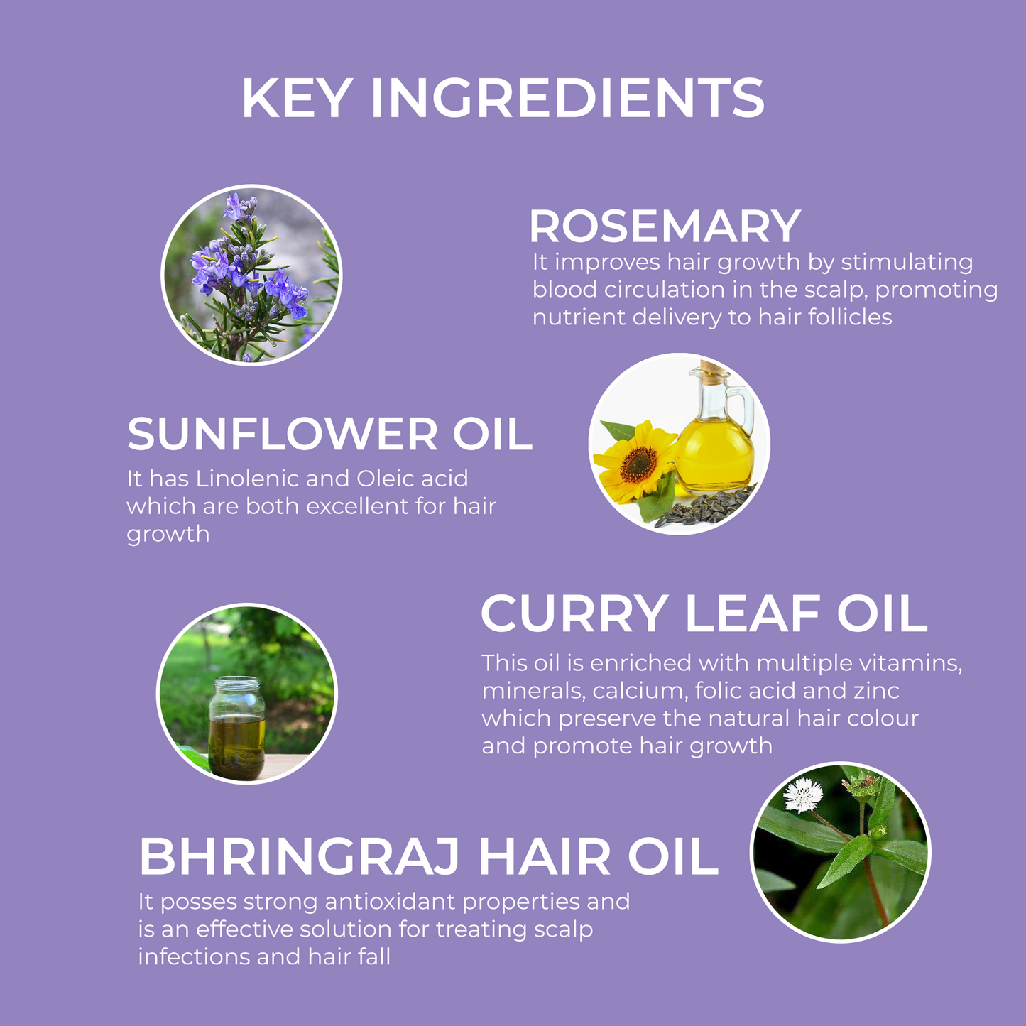 Spring H2O Rosemary Hair Care Combo – Shampoo, Conditioner & Hair Oil