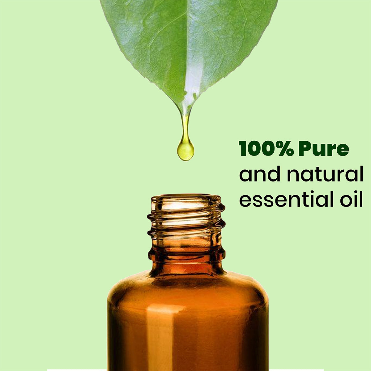 Organic Tea Tree Essential Oil for Face, Dandruff & Acne