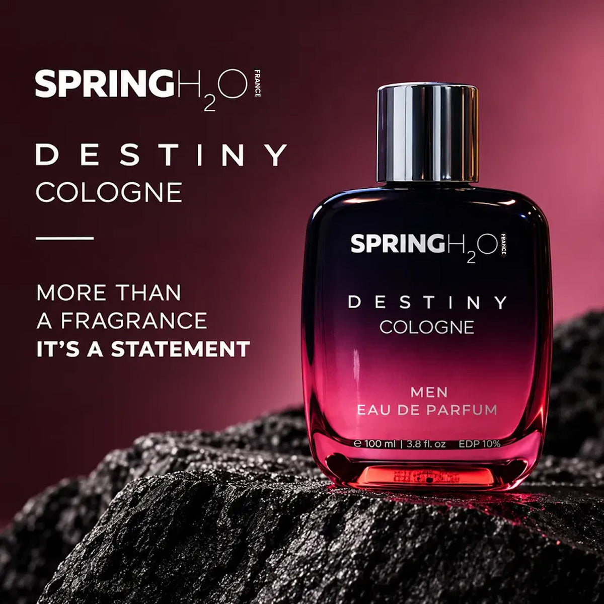 SPRING H2O Destiny Cologne Men Eau De Parfum